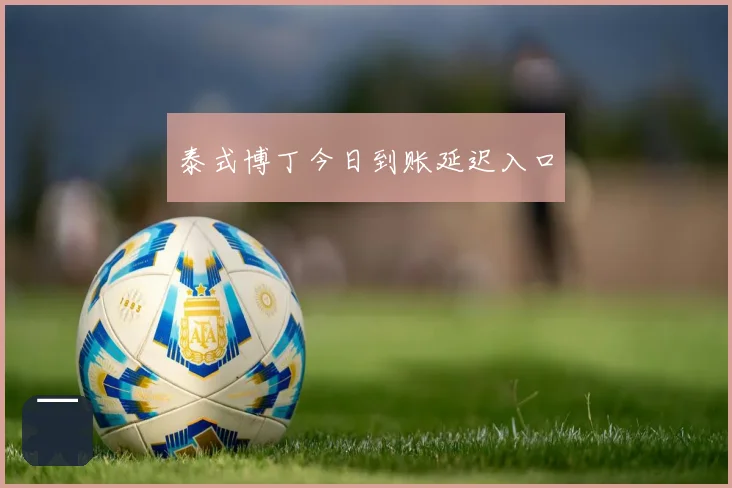 泰式博丁今日到账延迟入口